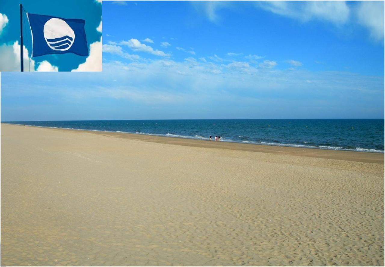 Apartamento Cerca Del Mar أوليفا المظهر الخارجي الصورة
